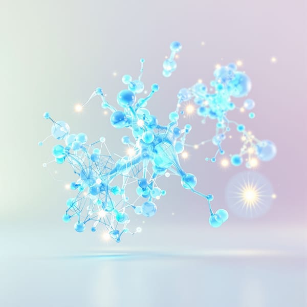 MSM Supplements: Benefits for Joints and Skin Health